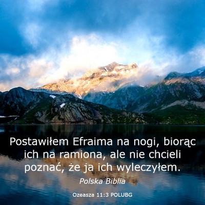 Picture 03 - Ozeasza 11:3 POLUBG - Postawiłem Efraima na nogi, biorąc ich na - Bible Verse Picture