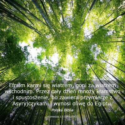 Picture 03 - Ozeasza 12:1 POLUBG - Efraim karmi się wiatrem, goni za wiatrem - Bible Verse Picture