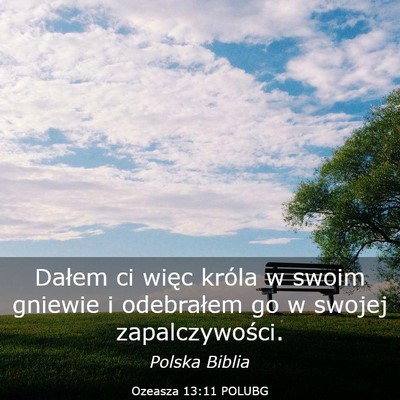 Picture 03 - Ozeasza 13:11 POLUBG - Dałem ci więc króla w swoim gniewie i - Bible Verse Picture