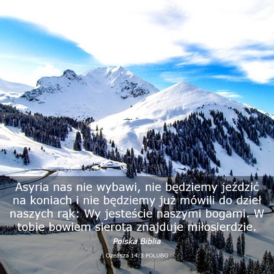 Picture 03 - Ozeasza 14:3 POLUBG - Asyria nas nie wybawi, nie będziemy jeździć na - Bible Verse Picture