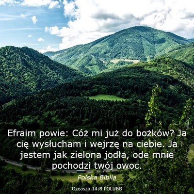 Picture 03 - Ozeasza 14:8 POLUBG - Efraim powie: Cóż mi już do bożków? Ja cię - Bible Verse Picture
