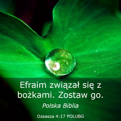 Picture 03 - Ozeasza 4:17 POLUBG - Efraim związał się z bożkami. Zostaw - Bible Verse Picture