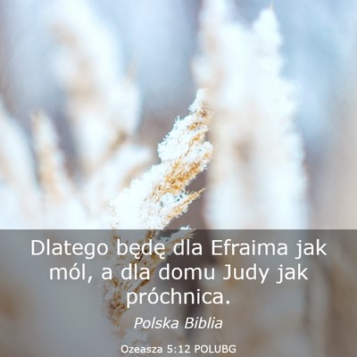 Picture 03 - Ozeasza 5:12 POLUBG - Dlatego będę dla Efraima jak mól, a dla domu - Bible Verse Picture