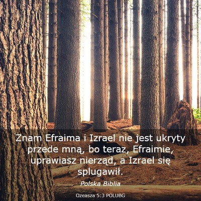 Picture 03 - Ozeasza 5:3 POLUBG - Znam Efraima i Izrael nie jest ukryty przede - Bible Verse Picture