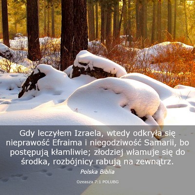 Picture 03 - Ozeasza 7:1 POLUBG - Gdy leczyłem Izraela, wtedy odkryła się - Bible Verse Picture