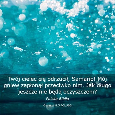 Picture 03 - Ozeasza 8:5 POLUBG - Twój cielec cię odrzucił, Samario! Mój gniew - Bible Verse Picture