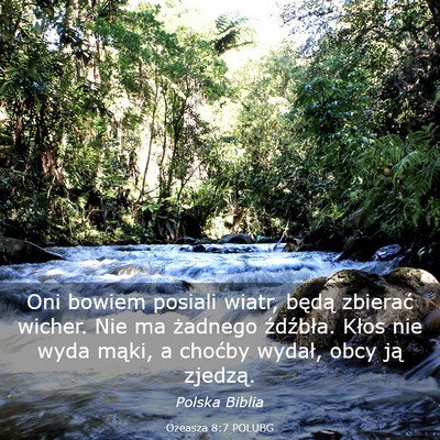 Picture 03 - Ozeasza 8:7 POLUBG - Oni bowiem posiali wiatr, będą zbierać wicher. - Bible Verse Picture