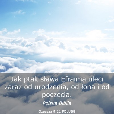 Picture 03 - Ozeasza 9:11 POLUBG - Jak ptak sława Efraima uleci zaraz od urodzenia, - Bible Verse Picture
