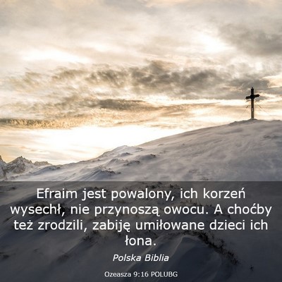 Picture 03 - Ozeasza 9:16 POLUBG - Efraim jest powalony, ich korzeń wysechł, nie - Bible Verse Picture