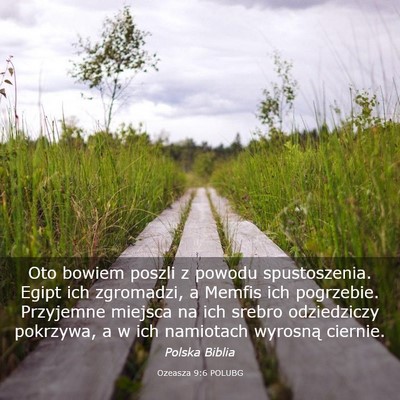 Picture 03 - Ozeasza 9:6 POLUBG - Oto bowiem poszli z powodu spustoszenia. Egipt - Bible Verse Picture