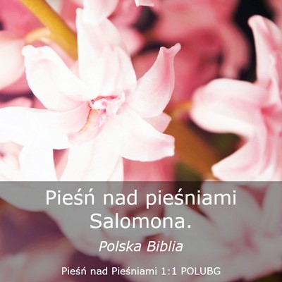 Picture 03 - Pieśń nad Pieśniami 1:1 POLUBG - Pieśń nad pieśniami - Bible Verse Picture
