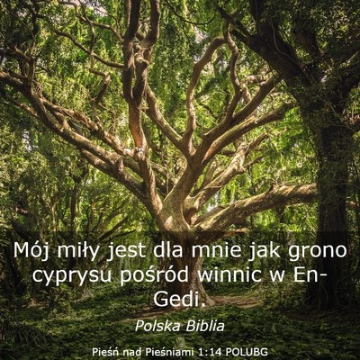 Picture 03 - Pieśń nad Pieśniami 1:14 POLUBG - Mój miły jest dla mnie jak grono cyprysu - Bible Verse Picture