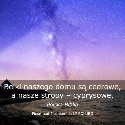 Picture 03 - Pieśń nad Pieśniami 1:17 POLUBG - Belki naszego domu są cedrowe, a nasze stropy - Bible Verse Picture