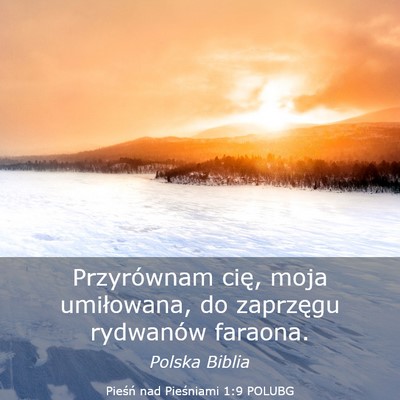 Picture 03 - Pieśń nad Pieśniami 1:9 POLUBG - Przyrównam cię, moja umiłowana, do zaprzęgu - Bible Verse Picture