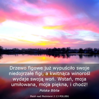 Picture 03 - Pieśń nad Pieśniami 2:13 POLUBG - Drzewo figowe już wypuściło swoje niedojrzałe - Bible Verse Picture