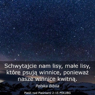 Picture 03 - Pieśń nad Pieśniami 2:15 POLUBG - Schwytajcie nam lisy, małe lisy, które psują - Bible Verse Picture