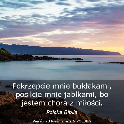 Picture 03 - Pieśń nad Pieśniami 2:5 POLUBG - Pokrzepcie mnie bukłakami, posilcie mnie - Bible Verse Picture