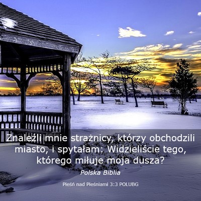Picture 03 - Pieśń nad Pieśniami 3:3 POLUBG - Znaleźli mnie strażnicy, którzy obchodzili - Bible Verse Picture