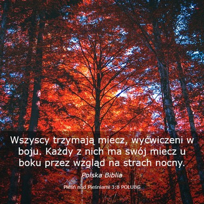 Picture 03 - Pieśń nad Pieśniami 3:8 POLUBG - Wszyscy trzymają miecz, wyćwiczeni w boju. - Bible Verse Picture