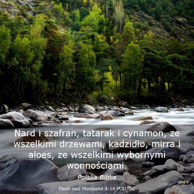 Picture 03 - Pieśń nad Pieśniami 4:14 POLUBG - Nard i szafran, tatarak i cynamon, ze wszelkimi - Bible Verse Picture