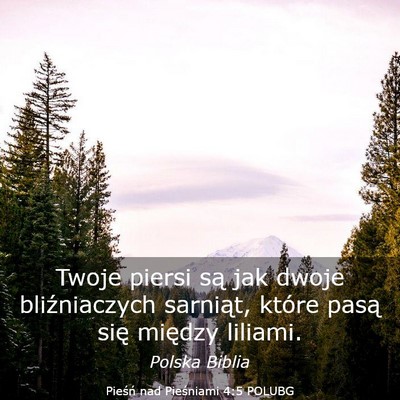 Picture 03 - Pieśń nad Pieśniami 4:5 POLUBG - Twoje piersi są jak dwoje bliźniaczych - Bible Verse Picture
