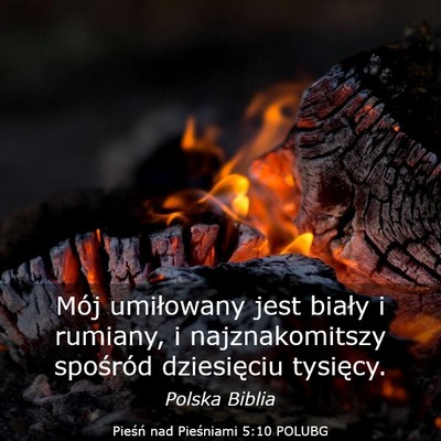Picture 03 - Pieśń nad Pieśniami 5:10 POLUBG - Mój umiłowany jest biały i rumiany, i - Bible Verse Picture