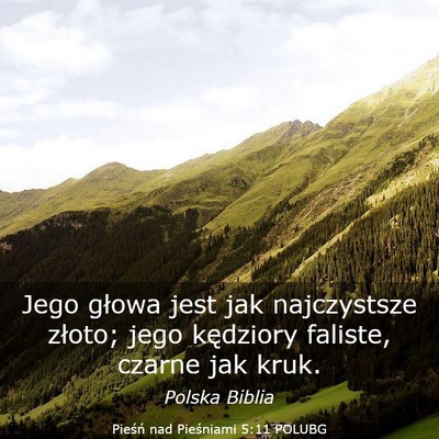 Picture 03 - Pieśń nad Pieśniami 5:11 POLUBG - Jego głowa jest jak najczystsze złoto; jego - Bible Verse Picture