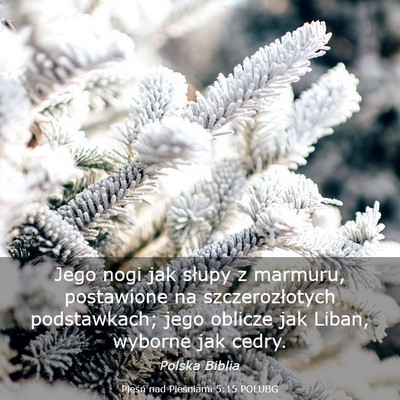 Picture 03 - Pieśń nad Pieśniami 5:15 POLUBG - Jego nogi jak słupy z marmuru, postawione na - Bible Verse Picture
