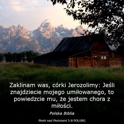 Picture 03 - Pieśń nad Pieśniami 5:8 POLUBG - Zaklinam was, córki Jerozolimy: Jeśli - Bible Verse Picture