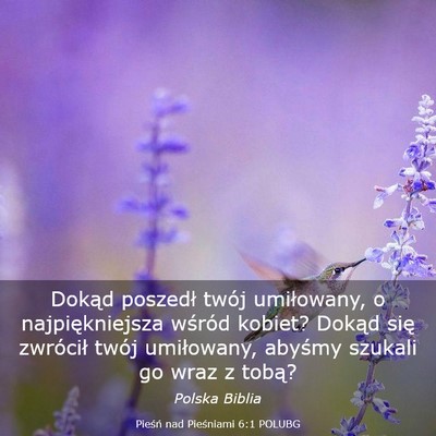 Picture 03 - Pieśń nad Pieśniami 6:1 POLUBG - Dokąd poszedł twój umiłowany, o - Bible Verse Picture