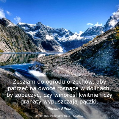 Picture 03 - Pieśń nad Pieśniami 6:11 POLUBG - Zeszłam do ogrodu orzechów, aby patrzeć na - Bible Verse Picture