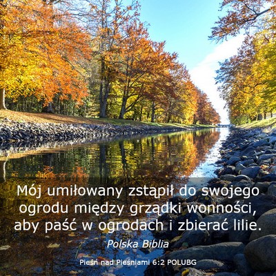 Picture 03 - Pieśń nad Pieśniami 6:2 POLUBG - Mój umiłowany zstąpił do swojego ogrodu - Bible Verse Picture