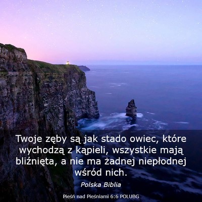 Picture 03 - Pieśń nad Pieśniami 6:6 POLUBG - Twoje zęby są jak stado owiec, które wychodzą - Bible Verse Picture