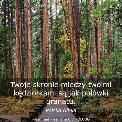 Picture 03 - Pieśń nad Pieśniami 6:7 POLUBG - Twoje skronie między twoimi kędziorkami są jak - Bible Verse Picture