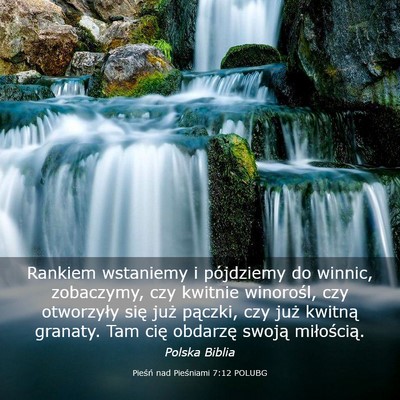 Picture 03 - Pieśń nad Pieśniami 7:12 POLUBG - Rankiem wstaniemy i pójdziemy do winnic, - Bible Verse Picture