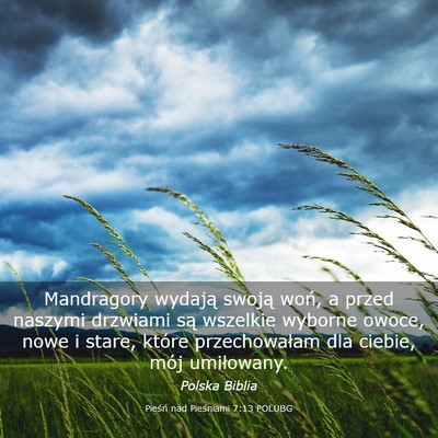 Picture 03 - Pieśń nad Pieśniami 7:13 POLUBG - Mandragory wydają swoją woń, a przed naszymi - Bible Verse Picture