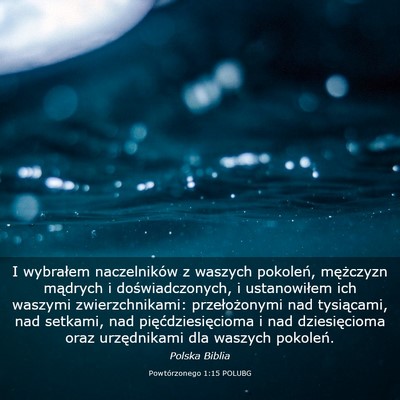 Picture 03 - Powtórzonego 1:15 POLUBG - I wybrałem naczelników z waszych pokoleń, - Bible Verse Picture