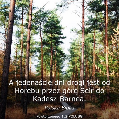 Picture 03 - Powtórzonego 1:2 POLUBG - A jedenaście dni drogi jest od Horebu przez - Bible Verse Picture