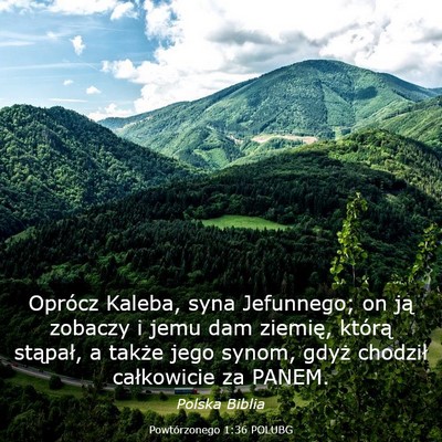 Picture 03 - Powtórzonego 1:36 POLUBG - Oprócz Kaleba, syna Jefunnego; on ją zobaczy i - Bible Verse Picture