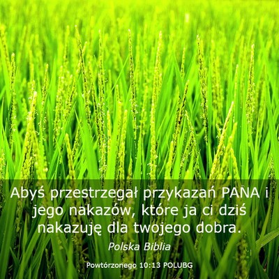 Picture 03 - Powtórzonego 10:13 POLUBG - Abyś przestrzegał przykazań PANA i jego - Bible Verse Picture