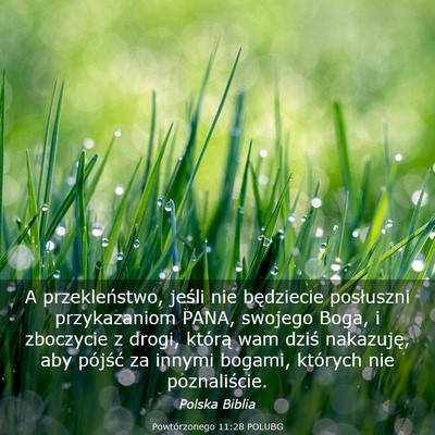 Picture 03 - Powtórzonego 11:28 POLUBG - A przekleństwo, jeśli nie będziecie posłuszni - Bible Verse Picture