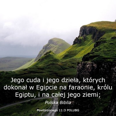 Picture 03 - Powtórzonego 11:3 POLUBG - Jego cuda i jego dzieła, których dokonał w - Bible Verse Picture