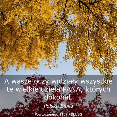 Picture 03 - Powtórzonego 11:7 POLUBG - A wasze oczy widziały wszystkie te wielkie - Bible Verse Picture