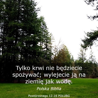 Picture 03 - Powtórzonego 12:16 POLUBG - Tylko krwi nie będziecie spożywać; wylejecie - Bible Verse Picture