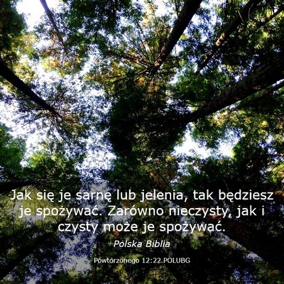 Picture 03 - Powtórzonego 12:22 POLUBG - Jak się je sarnę lub jelenia, tak będziesz je - Bible Verse Picture