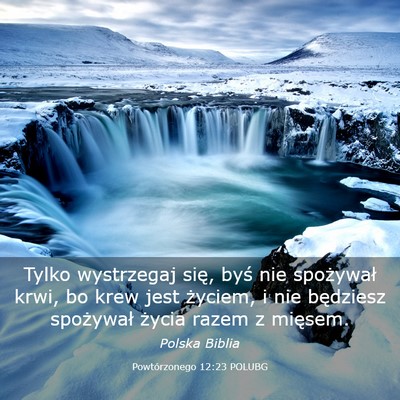 Picture 03 - Powtórzonego 12:23 POLUBG - Tylko wystrzegaj się, byś nie spożywał krwi, - Bible Verse Picture