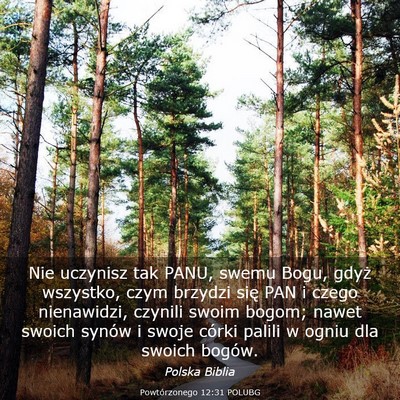 Picture 03 - Powtórzonego 12:31 POLUBG - Nie uczynisz tak PANU, swemu Bogu, gdyż - Bible Verse Picture