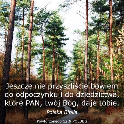 Picture 03 - Powtórzonego 12:9 POLUBG - Jeszcze nie przyszliście bowiem do odpoczynku i - Bible Verse Picture