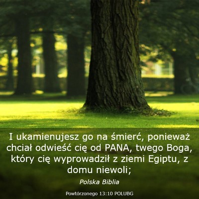 Picture 03 - Powtórzonego 13:10 POLUBG - I ukamienujesz go na śmierć, ponieważ chciał - Bible Verse Picture