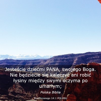 Picture 03 - Powtórzonego 14:1 POLUBG - Jesteście dziećmi PANA, swojego Boga. Nie - Bible Verse Picture